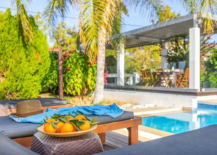 Jan Mari Elen Vila *